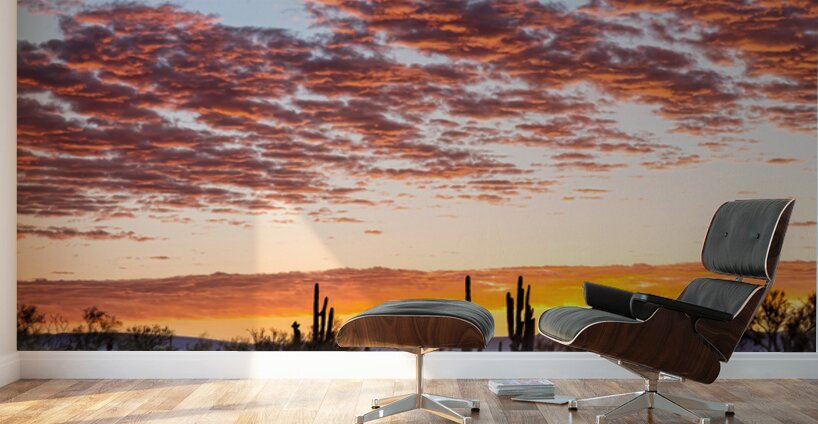 Colorful Sonoran Desert Sunrise Wall Murals