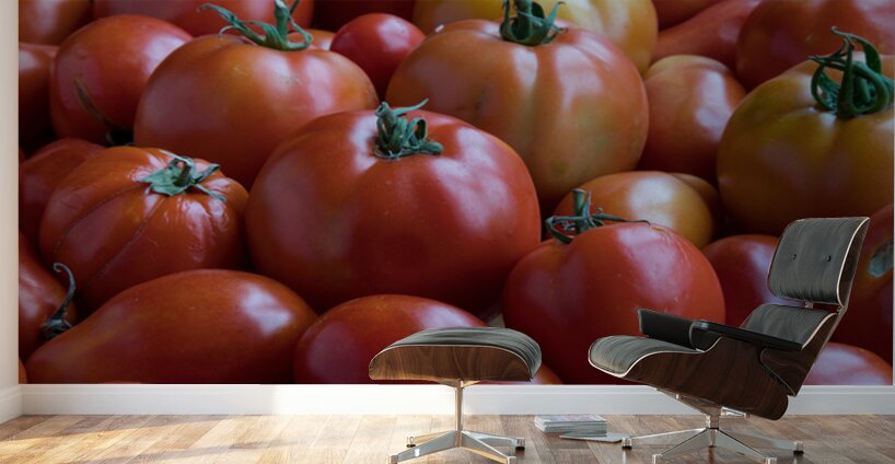 Roma Super Fantastic Tomatoes Fine Art Photography Wall Art Wall Murals
