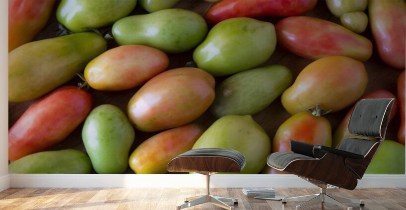 Harvests Bounty A Colorful Medley of Roma Tomatoes Wall Murals