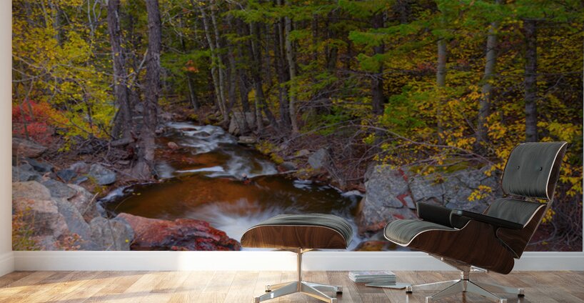 Tranquil Autumn Creek in a Rocky Mountain Forest Wall Murals