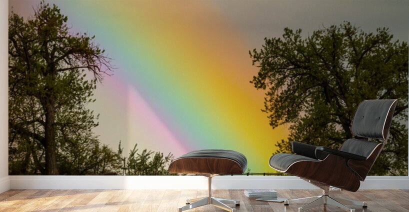 Where The Rainbow Meets The Earth Wall Murals