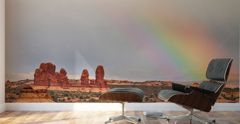 A Desert Rainbows Vibrant Display Wall Murals