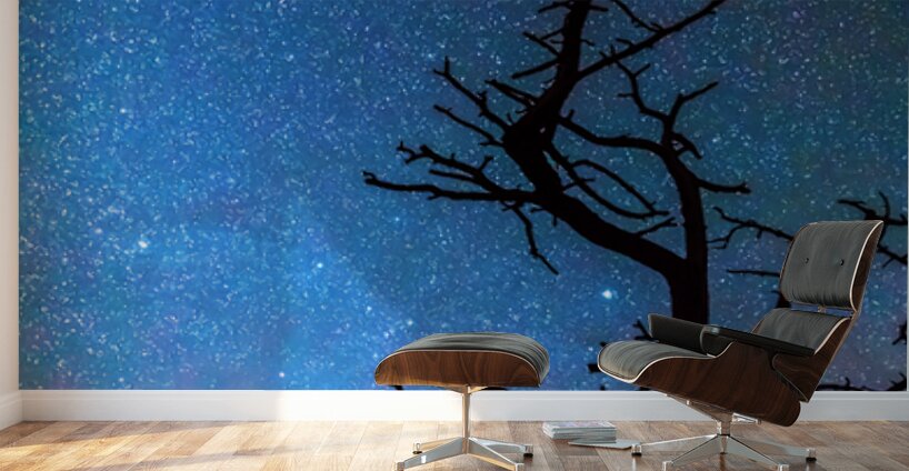 Starry Night Sky with Silhouette Tree Wall Murals