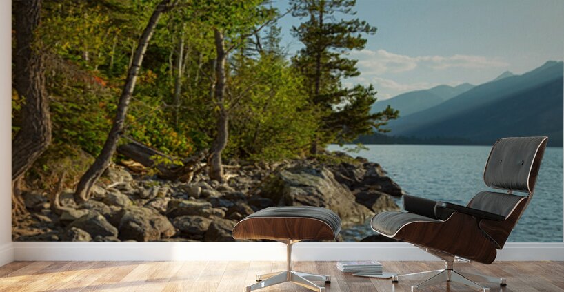 Jenny Lake Rocky Shoreline Grand Teton National Park Fine Art Print Wall Murals