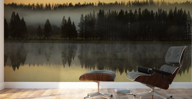 Yellowstone Wyoming Foggy Forest Lake Reflection Fine Art Print Wall Murals