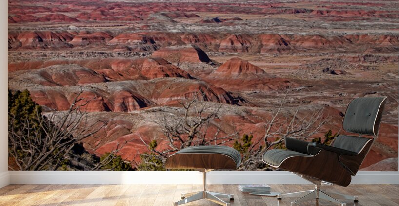 Painted Desert Horizons Arizona Wall Murals