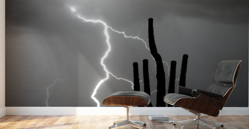 Black and White Lightning Over Arizona Desert Saguaro Wall Murals