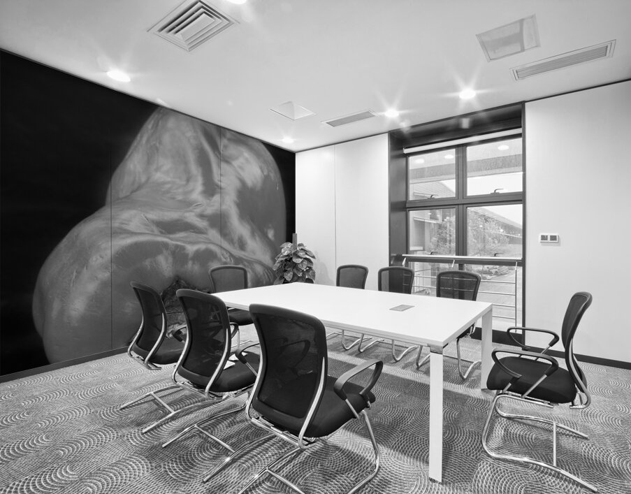 Red Pepper Bringing Sexy Back Black and White Wall Printing