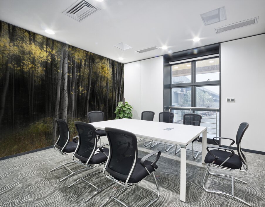 Misty Aspen Grove Wall Printing