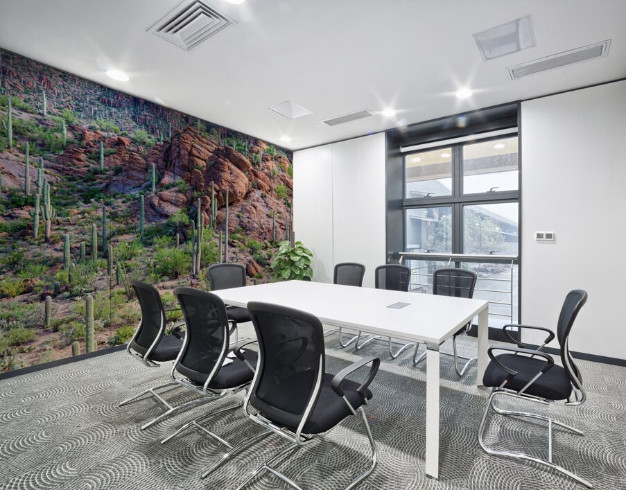 Arizona Desert Forest Wall Printing