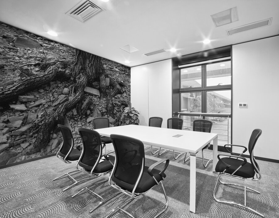 Tree Trunk Roots Exposed Wall Printing