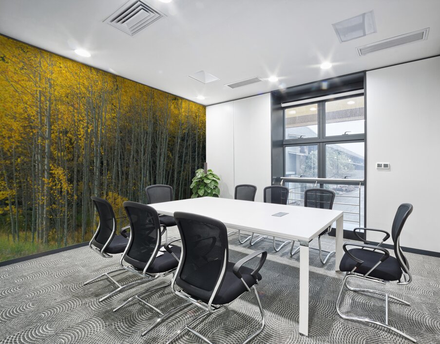 That  Morning Autumn Light Wall Printing