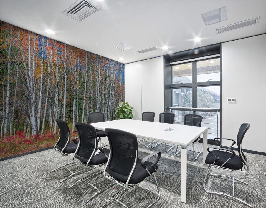 Aspen Grove Symphony Autumns Embrace Wall Printing