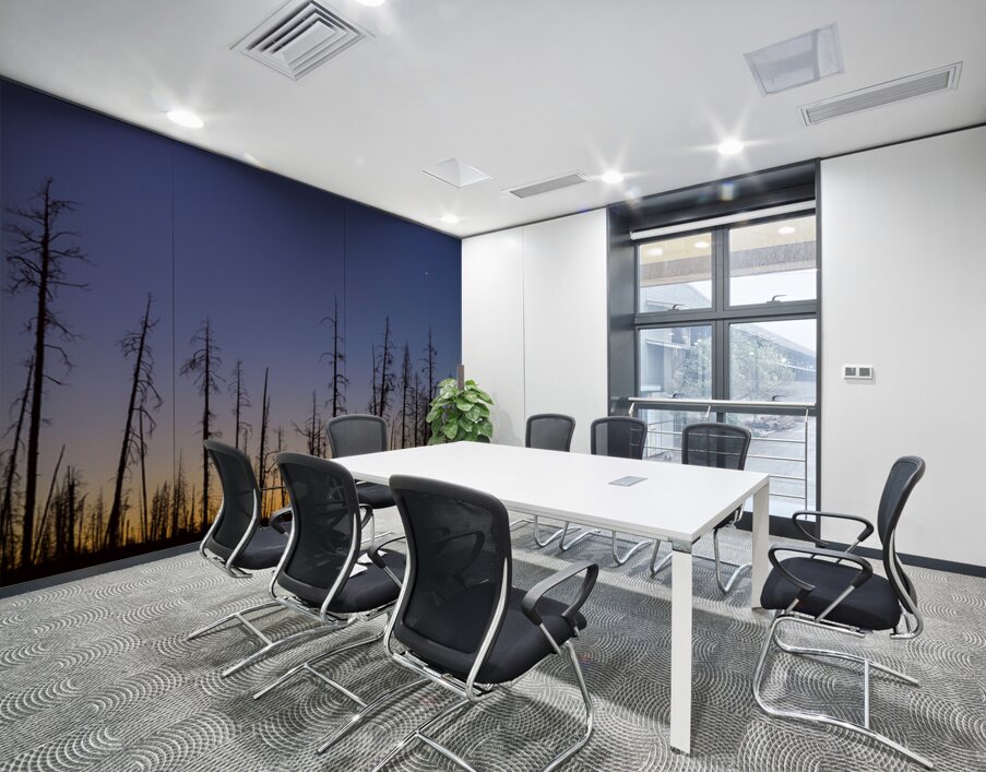 Yellowstone National Park wildfire aftermath Wall Printing