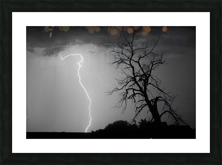 Lightning Strikes the Twisted Sentinel Tree Impression et Cadre photo