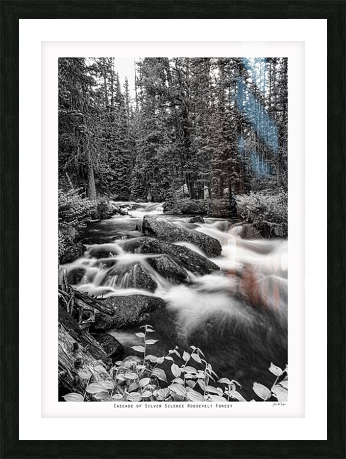  Fine Art print