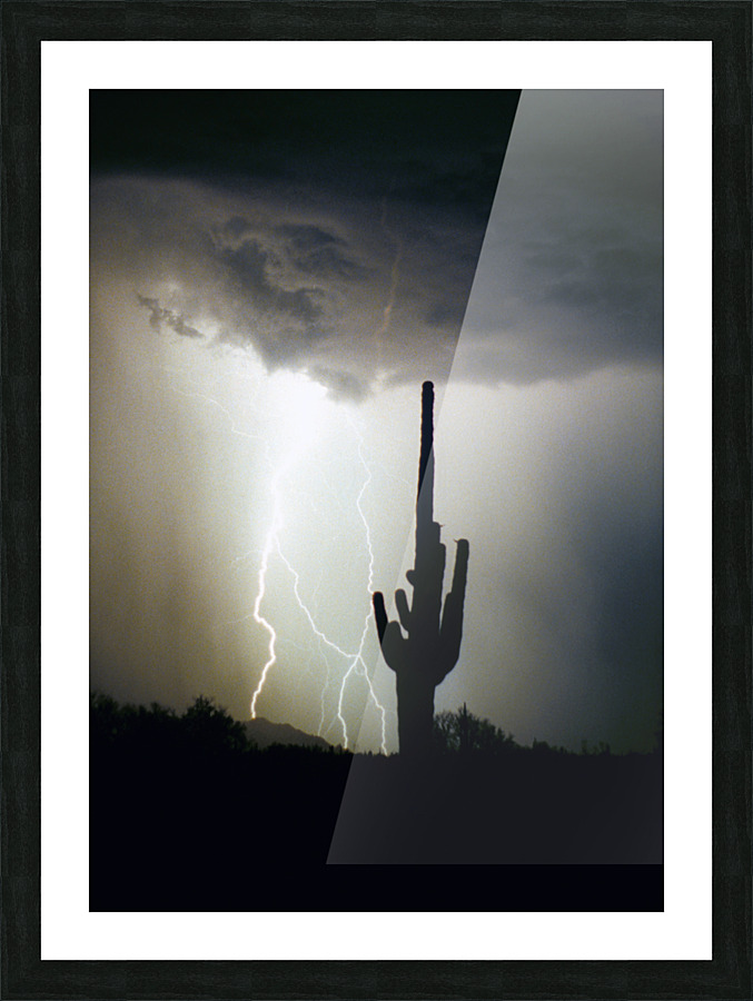 Lightning Swirl Saguaro Cactus Highlands  Framed Print Print
