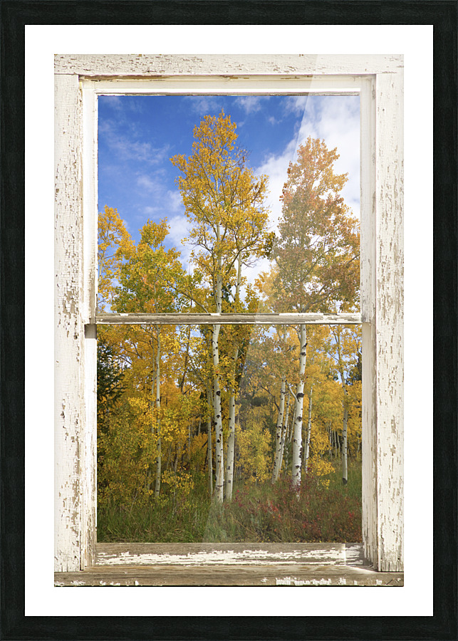 Colorado Autumn Aspens Nature Window View Frame print