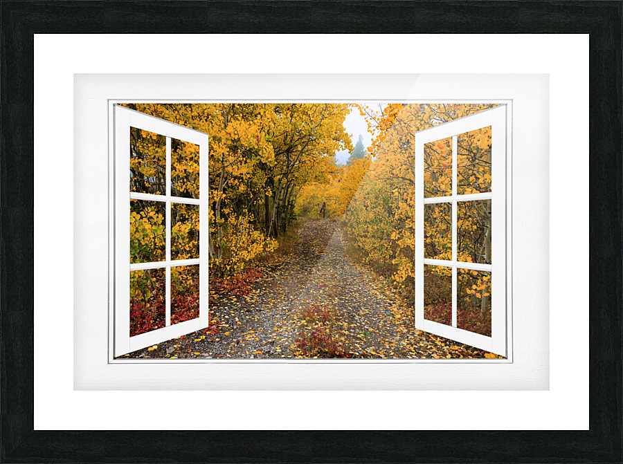 Colorful Trees Down the Drive White Open Window Frame print