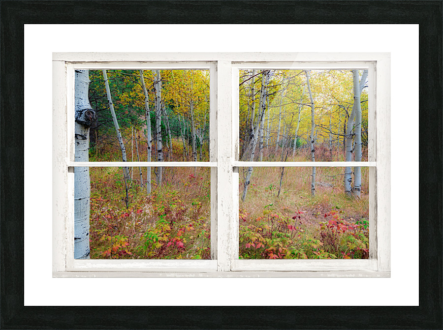 Autumn Forest Delight Rustic Window View Frame print