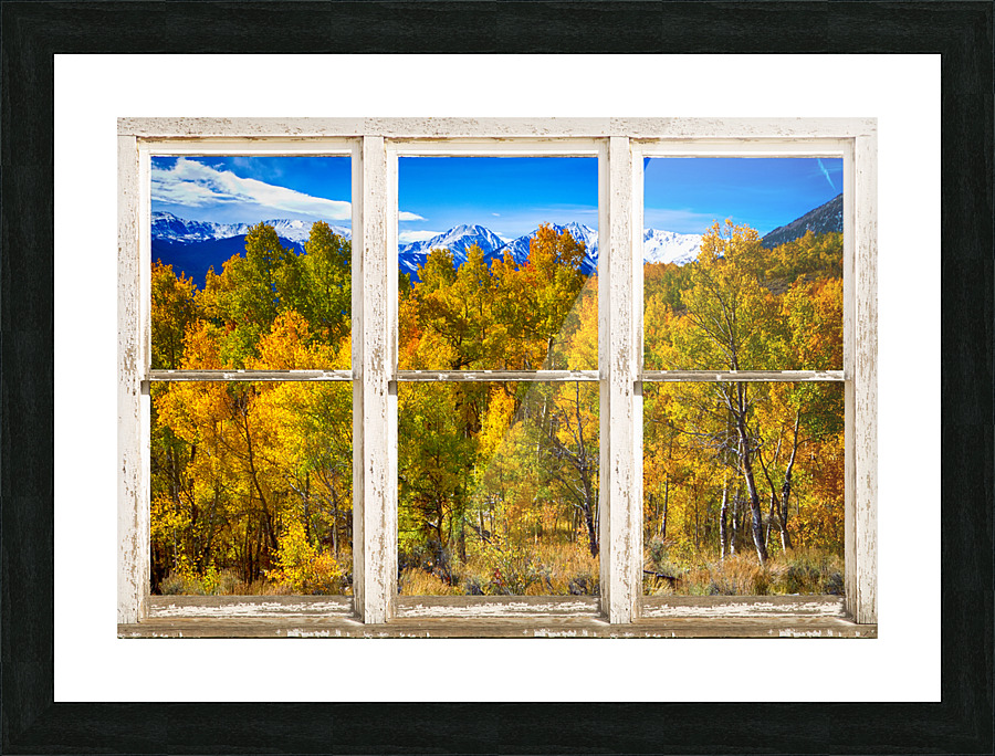 Independence Pass Autumn Colors White Barn Window Frame print