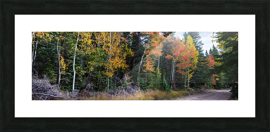 Sunday Drive Wide Panoramic View  Framed Print Print