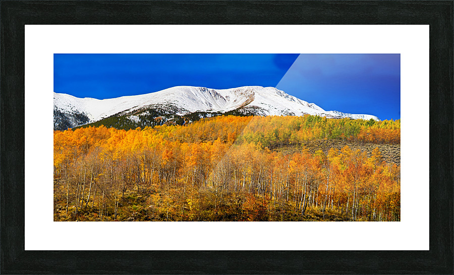 Colorado Rocky Mountain Independence Pass   Framed Print Print