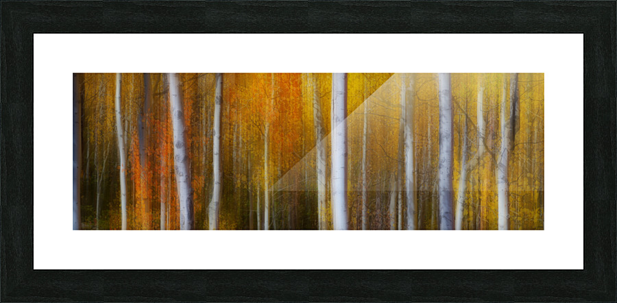 Forest Color Burst Modern Abstract 60x20  Framed Print Print
