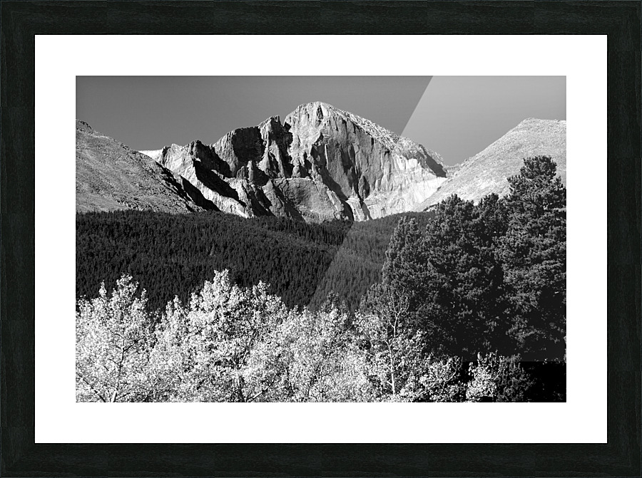 Longs Peak Autumn Aspen Landscape View BW Frame print