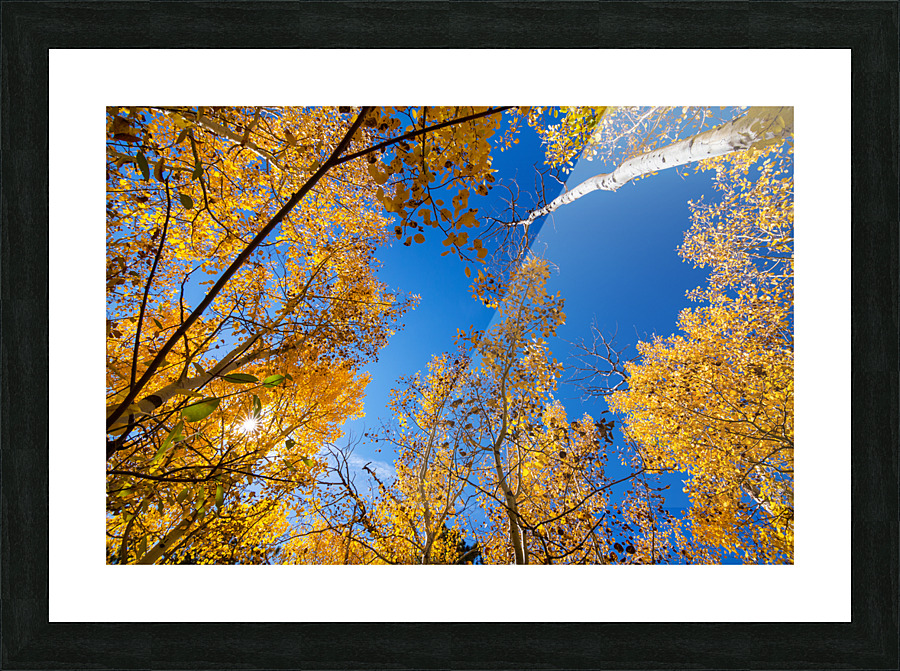 Blue Sky Autumn Bliss Frame print