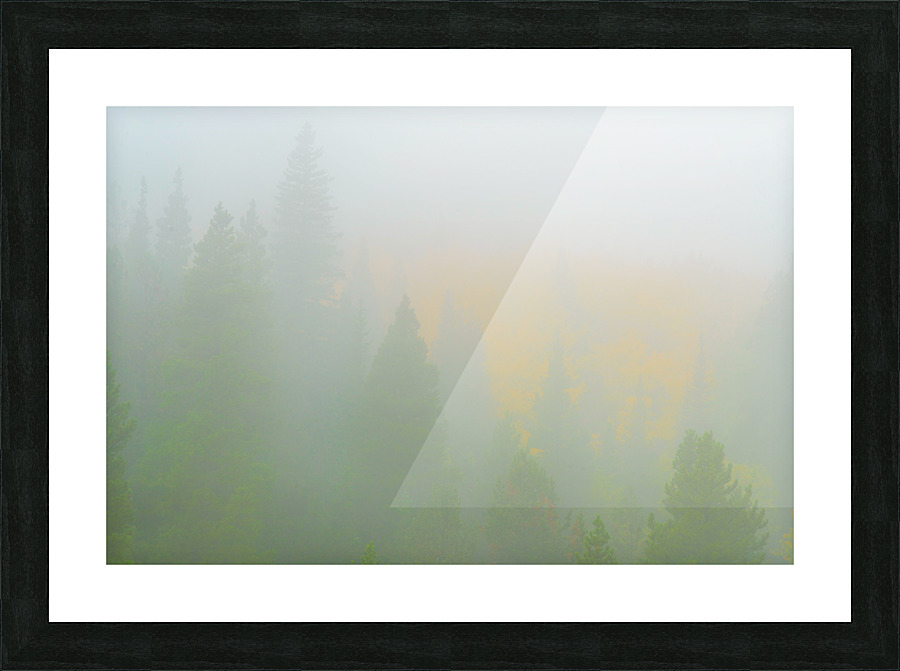 Deep in the Fog Picture Frame print