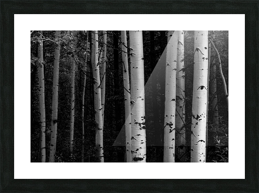 Shades Of A Forest Frame print