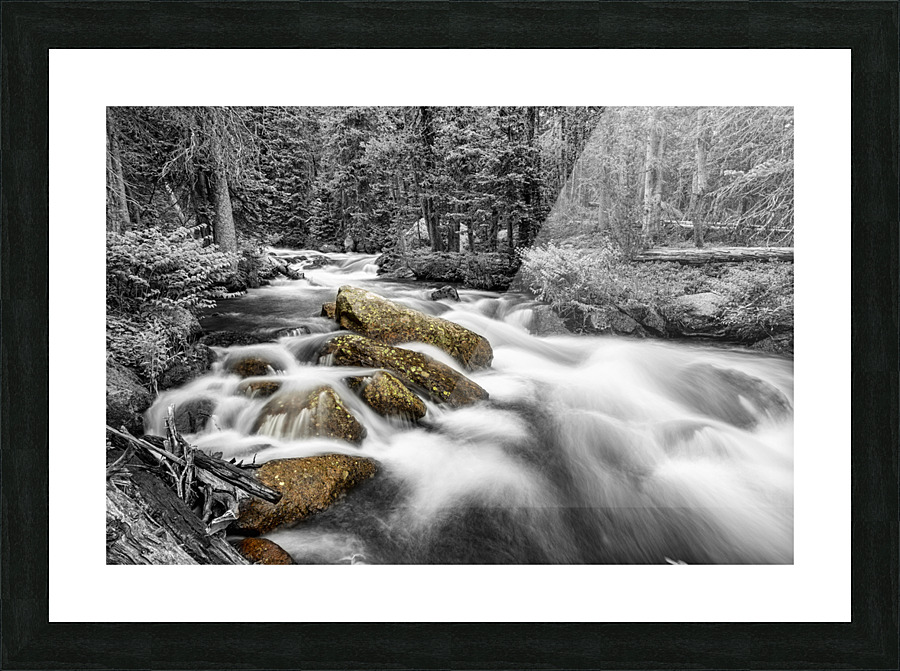 Roosevelt National Forest Stream BW Selective Picture Frame print