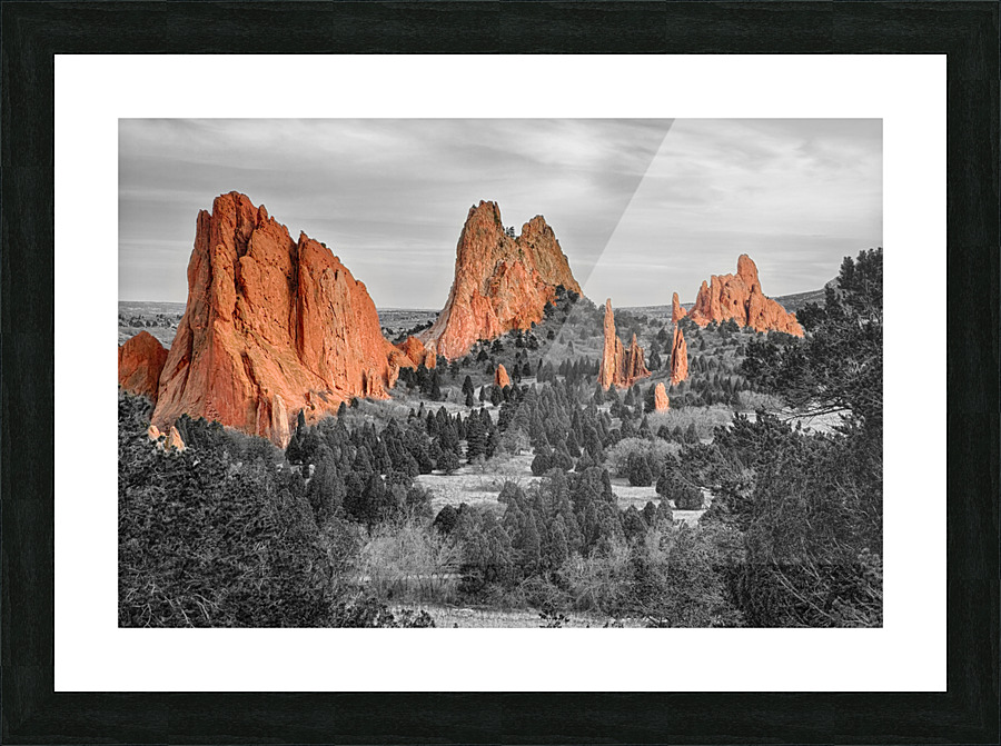 Garden of the Gods with Selective Color  Framed Print Print