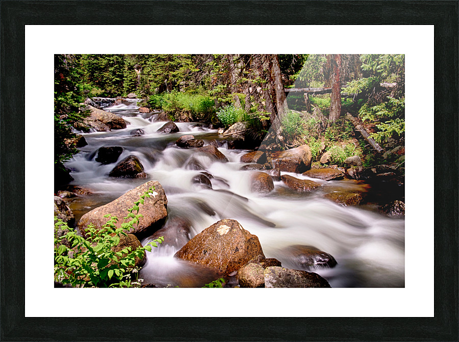 Cascading Rocky Mountain Forest Creek Picture Frame print