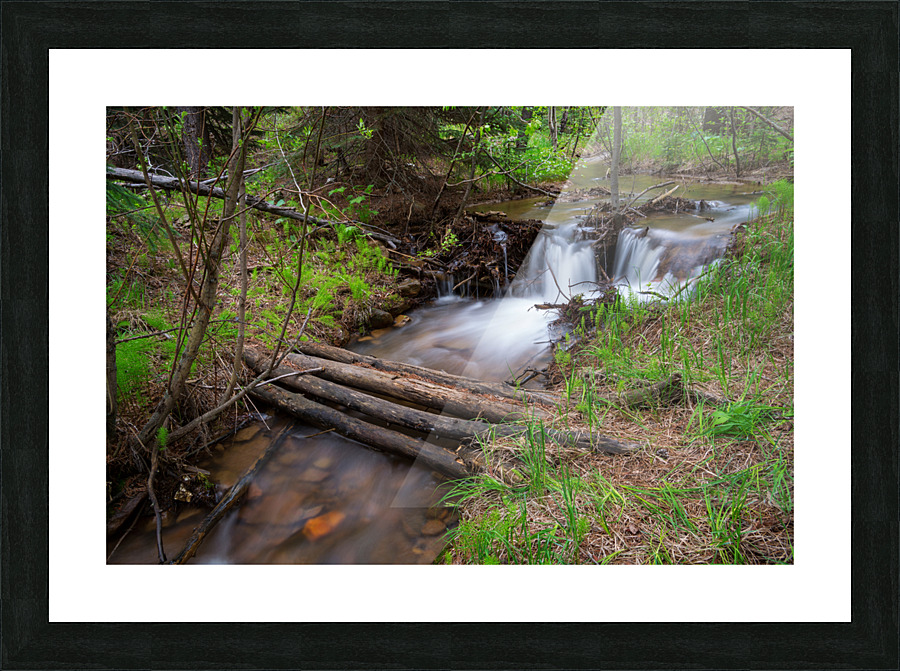 Creek Crossing Forest Woods Impression et Cadre photo