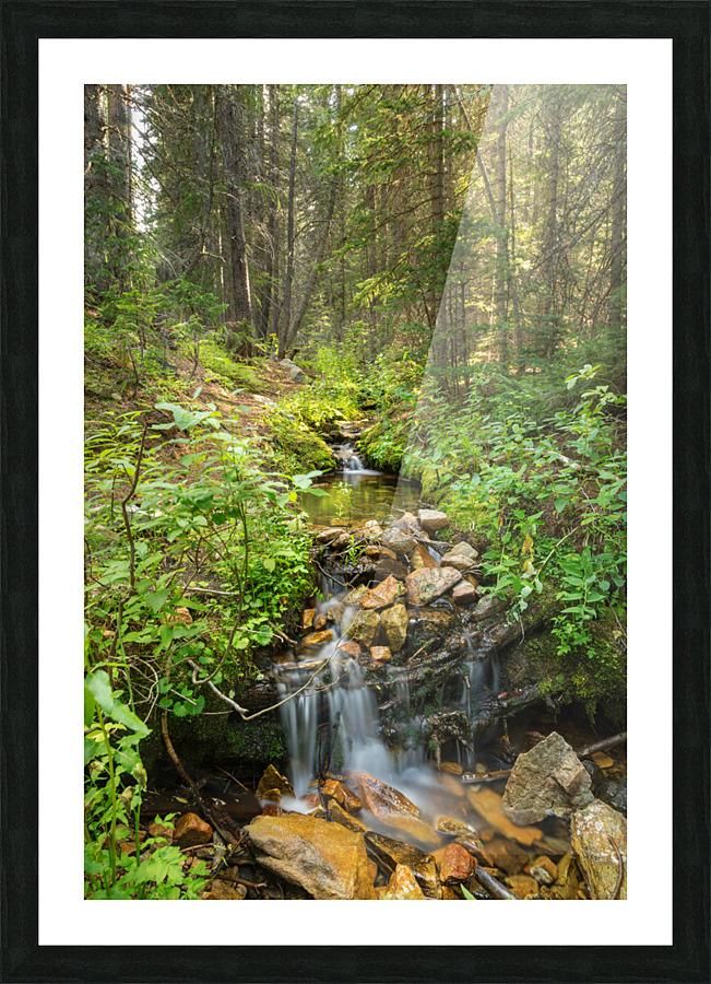 Forest Streaming Picture Frame print