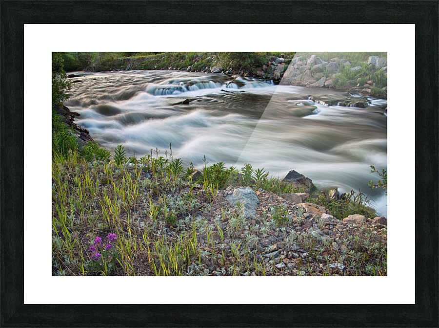 South Boulder Creek Summer View  Framed Print Print
