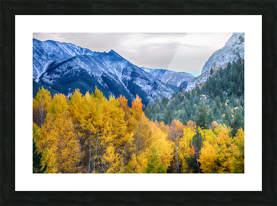 Colorful Crested Butte Colorado Frame print