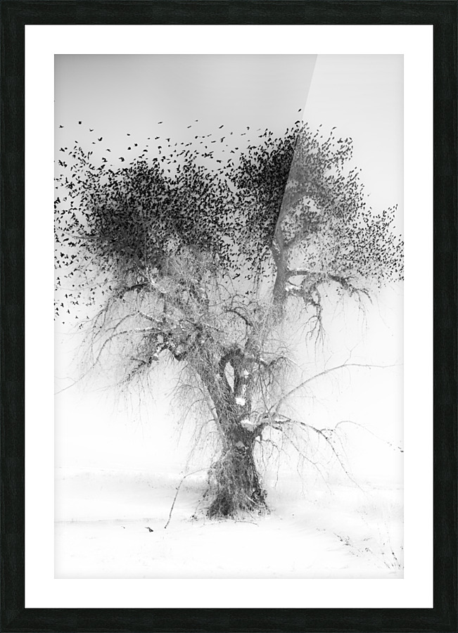 Treefull Picture Frame print