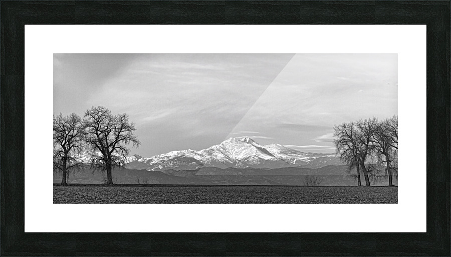Twin Peaks Between The Trees BW Panorama  Framed Print Print