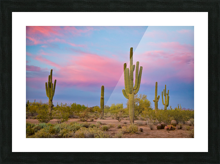 Southwest Desert Spring Frame print