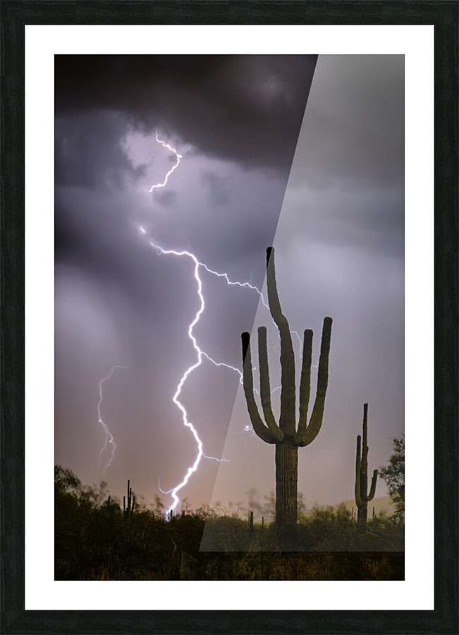 Sonoran Desert Monsoon Storming Frame print