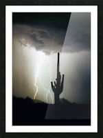 Lightning Swirl Saguaro Cactus Highlands Picture Frame print