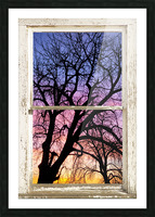 Colorful Tree White Farm House Window Portrai Picture Frame print