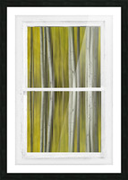 Surreal Dreamy Aspen Forest White Rustic Window Picture Frame print
