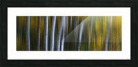 Roosevelt National Forest Wilderness Wonderla Picture Frame print