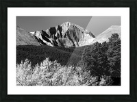 Longs Peak Autumn Aspen Landscape View BW Picture Frame print