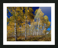 Autumn Blue Skies Picture Frame print