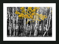Aspen Touch of Orange Picture Frame print